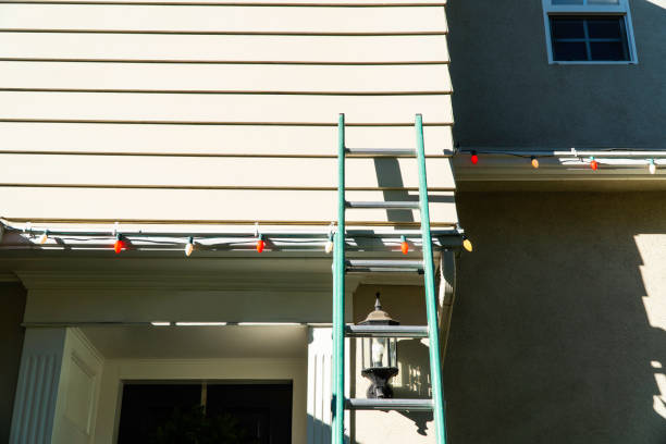 Best Siding Removal and Disposal  in Oquawka, IL