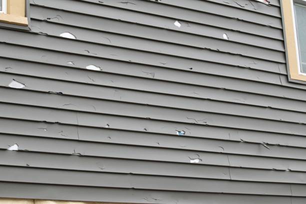 Best Engineered Wood Siding  in Oquawka, IL